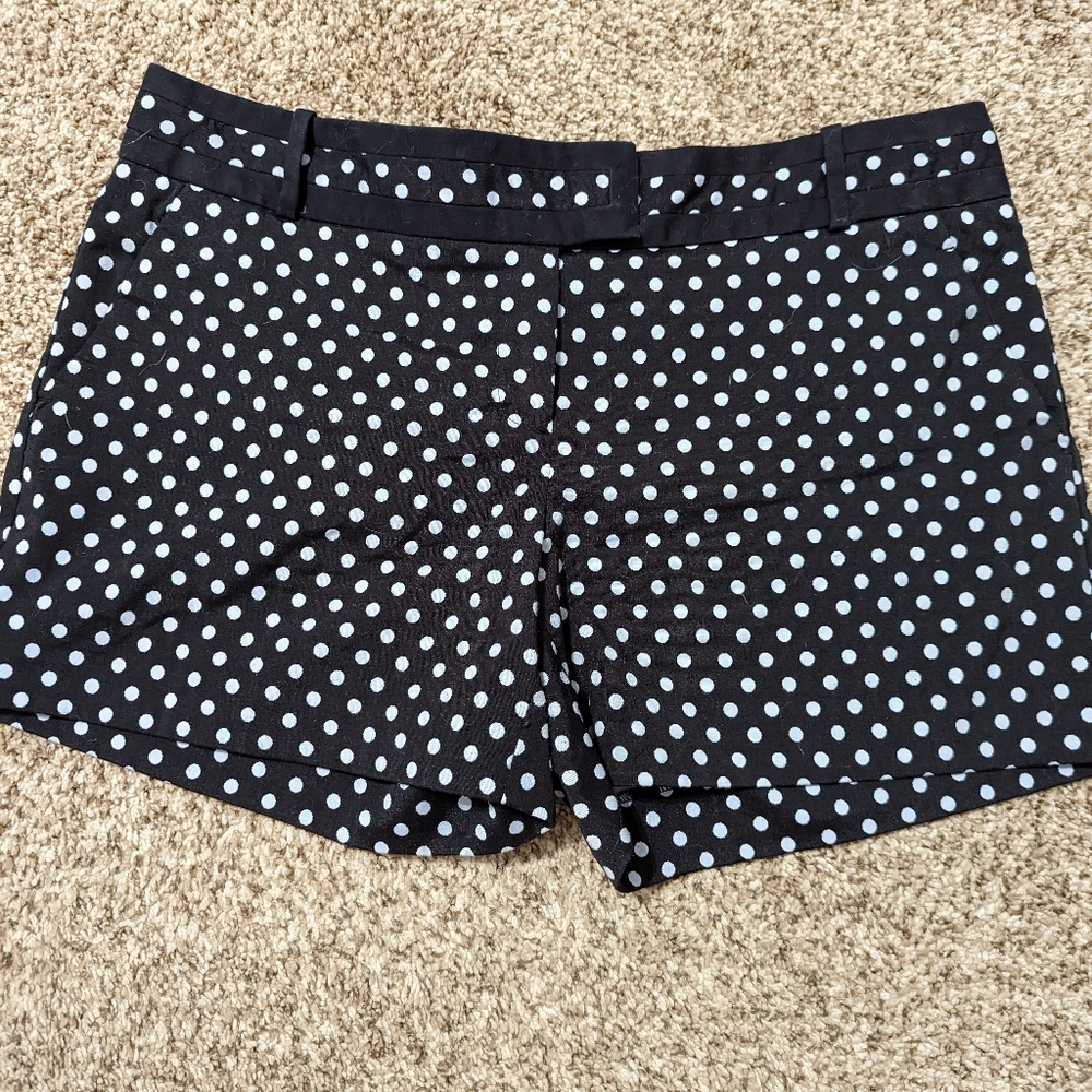 The Limited Shorts